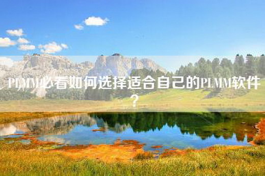 PLMM必看如何选择适合自己的PLMM软件？