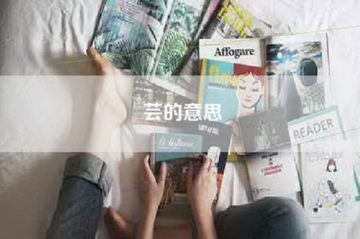 芸的意思