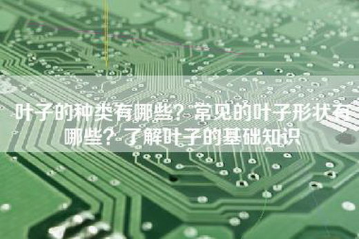 叶子的种类有哪些？常见的叶子形状有哪些？了解叶子的基础知识