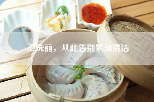 卫洗丽，从此告别繁琐清洁