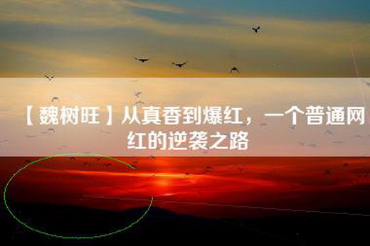 【魏树旺】从真香到爆红，一个普通网红的逆袭之路