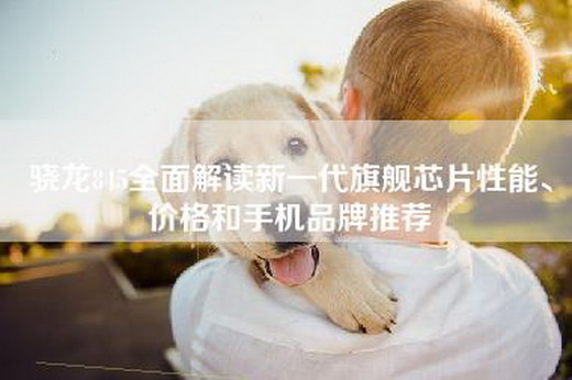 骁龙845全面解读新一代旗舰芯片性能、价格和手机品牌推荐