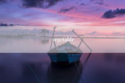 vegetable
