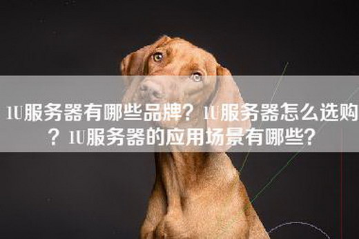 1U服务器有哪些品牌？1U服务器怎么选购？1U服务器的应用场景有哪些？