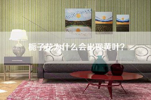 栀子花为什么会出现黄叶？
