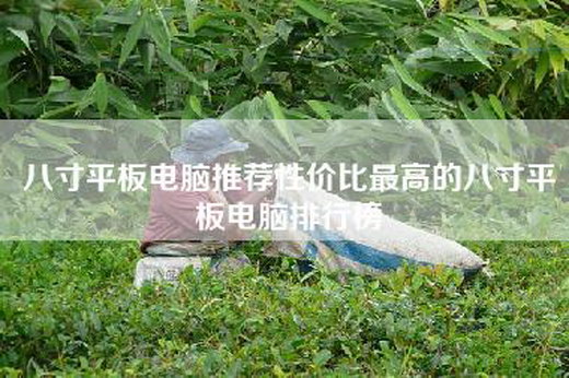 八寸平板电脑推荐性价比最高的八寸平板电脑排行榜