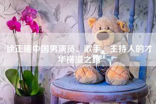 徐正曦中国男演员、歌手、主持人的才华横溢之路