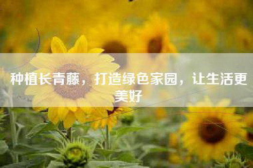 种植长青藤，打造绿色家园，让生活更美好