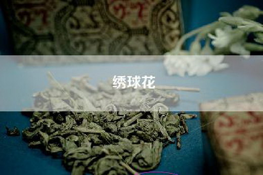 绣球花