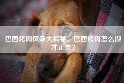 巴西烤肉风味大揭秘，巴西烤肉怎么做才正宗？