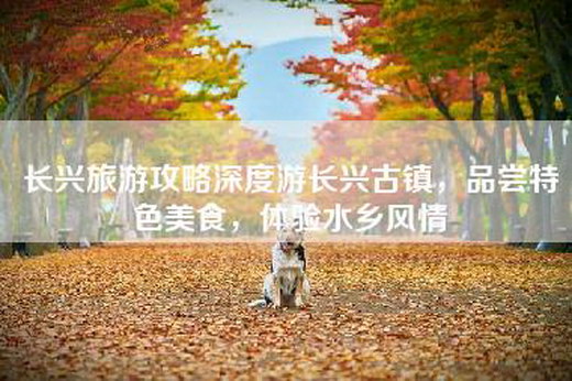 长兴旅游攻略深度游长兴古镇，品尝特色美食，体验水乡风情