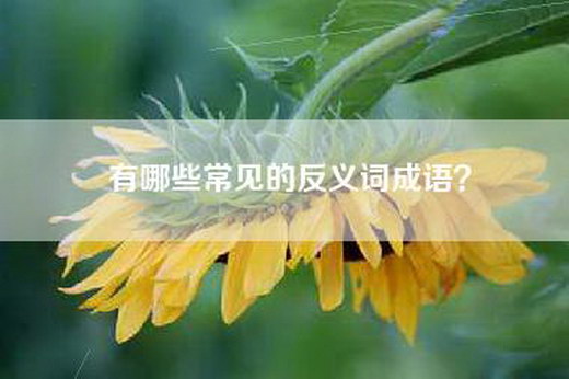 有哪些常见的反义词成语？