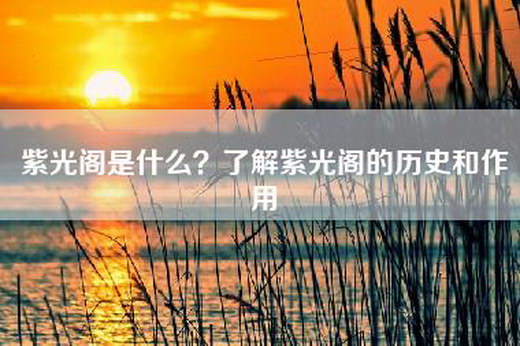 紫光阁是什么？了解紫光阁的历史和作用