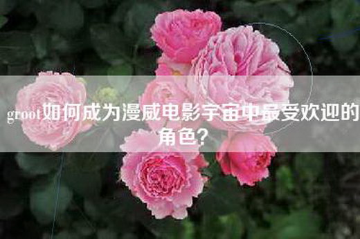 groot如何成为漫威电影宇宙中最受欢迎的角色？