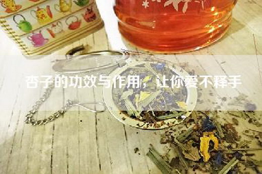 杏子的功效与作用，让你爱不释手