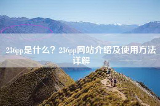 236pp是什么？236pp网站介绍及使用方法详解