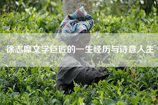徐志摩文学巨匠的一生经历与诗意人生