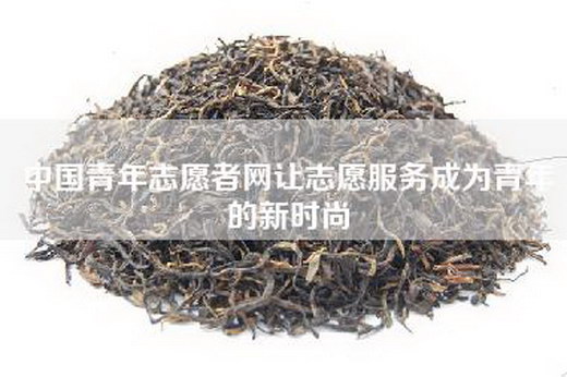 中国青年志愿者网让志愿服务成为青年的新时尚