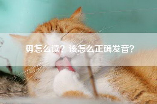 毋怎么读？该怎么正确发音？