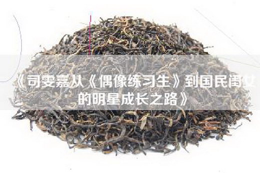 《司雯嘉从《偶像练习生》到国民闺女的明星成长之路》