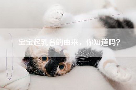 宝宝起乳名的由来，你知道吗？