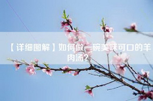 【详细图解】如何做一碗美味可口的羊肉汤？