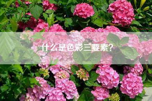 什么是色彩三要素？