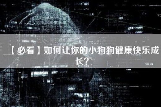 【必看】如何让你的小狗狗健康快乐成长？