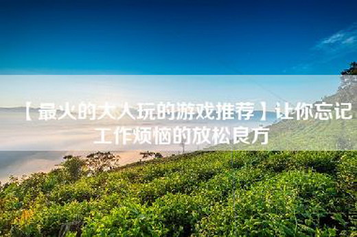 【最火的大人玩的游戏推荐】让你忘记工作烦恼的放松良方