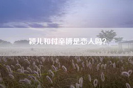 颖儿和付辛博是恋人吗？