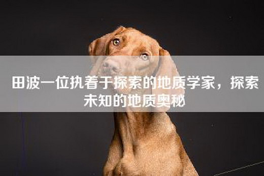 田波一位执着于探索的地质学家，探索未知的地质奥秘