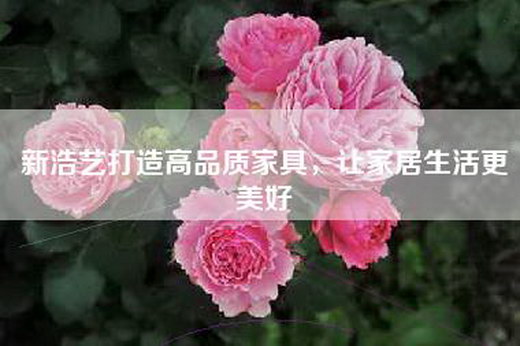 新浩艺打造高品质家具，让家居生活更美好
