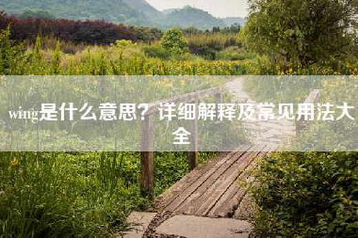 wing是什么意思？详细解释及常见用法大全