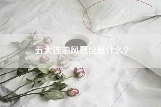 五大连池风景区是什么？