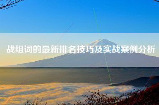 战组词的最新排名技巧及实战案例分析