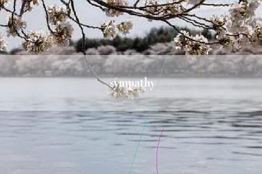 sympathy
