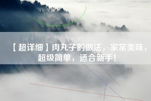 【超详细】肉丸子的做法，家常美味，超级简单，适合新手！