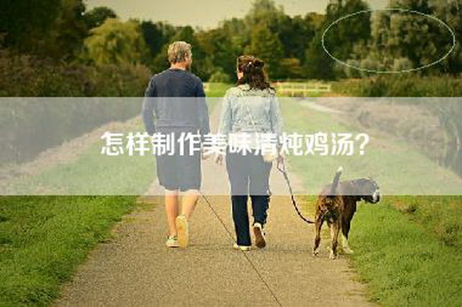 怎样制作美味清炖鸡汤？