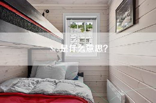 Sea是什么意思？