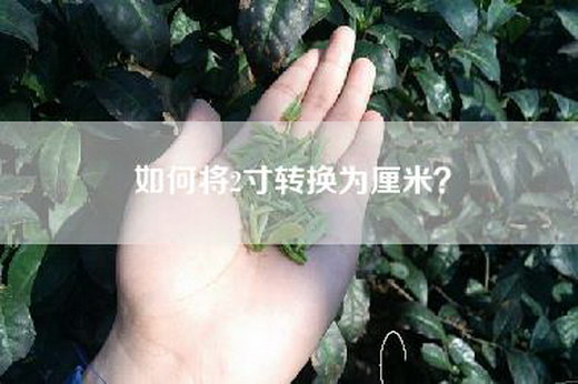 如何将2寸转换为厘米？