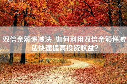 双倍余额递减法  如何利用双倍余额递减法快速提高投资收益？