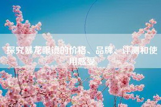 探究暴龙眼镜的价格、品牌、评测和使用感受