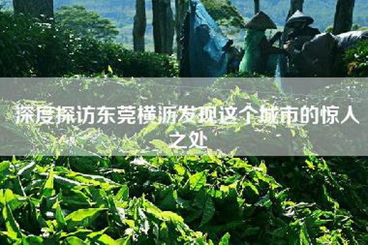 深度探访东莞横沥发现这个城市的惊人之处