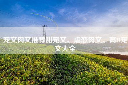 宠文肉文推荐甜宠文、虐恋肉文、高H宠文大全