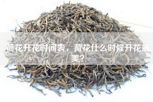 荷花开花时间表，荷花什么时候开花最美？