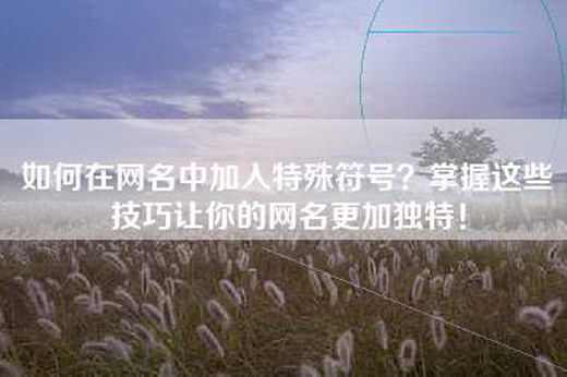 如何在网名中加入特殊符号？掌握这些技巧让你的网名更加独特！