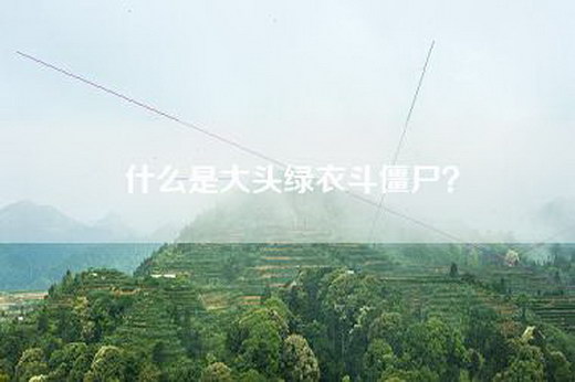 什么是大头绿衣斗僵尸？