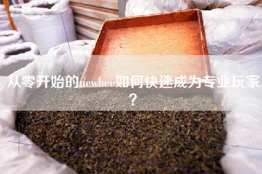 从零开始的newbee如何快速成为专业玩家？