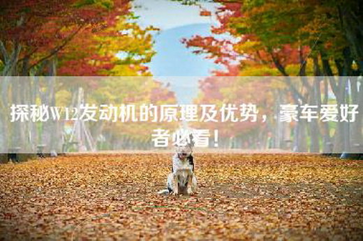 探秘W12发动机的原理及优势，豪车爱好者必看！