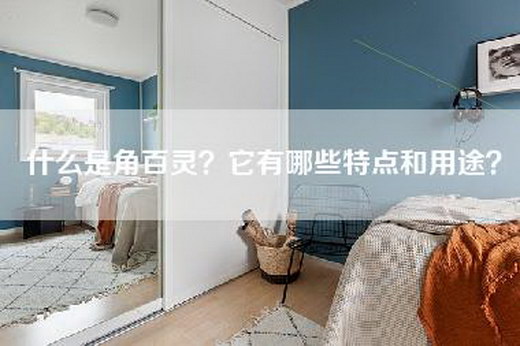 什么是角百灵？它有哪些特点和用途？